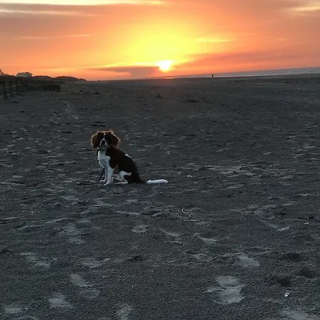 Dunepark *