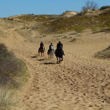 Dunepark Ferienhaus